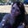 Stacy Hoehle's profile image