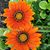 Kathryn Miller's profile image