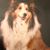 Paris Raven Rowntree's profile image