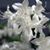 Sonia Santiago's profile image