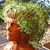 Kara Allison-Housh's profile image