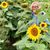 Marcia Anderson's profile image