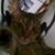 Christa Causby's profile image