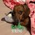 Sandy Ignacio's profile image