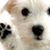 Maggie Dragna's profile image