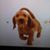 Donna Ferguson's profile image