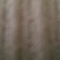 Randy Feaster's profile image