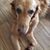 Maryann Smith Jackson's profile image