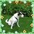 Patti Pollock's profile image