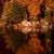 Linda Golden Lees's profile image