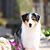 Becky Wyant's profile image