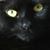 April McConnell's profile image