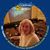 Donna Small's profile image