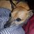 Jamie Baylous Caya's profile image