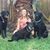 Trelle Vernon-Cole Dandridge's profile image