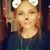 Sara Liz's profile image