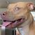 Colleen Housel's profile image