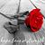 Sarah Audette's profile image