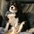 Eileen Lycke's profile image