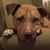 Jimbo Davis's profile image