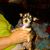 Sharon Smith's profile image