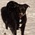 Mary Blake Oler's profile image