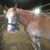 Denise Taylor's profile image
