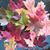 Mary Lee Hannan's profile image