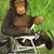 Marty Wright's profile image