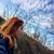 Natalia Gencheva's profile image
