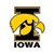 Lori Boehm Raymond's profile image