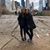 Melissa Johnson Calabretta's profile image