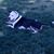 Robert Haynes's profile image