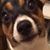 April Larch Lane's profile image