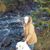 Laurie Lohstroh's profile image