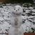 Gail Gaydos Grauer's profile image