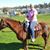 Audrey Anderson's profile image