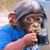 Luis Begué's profile image