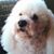 Gail Rinehart's profile image