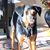 Carlos M Chacon's profile image