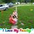 Stephenie Sibley's profile image