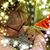 Sharon Zmudzinski's profile image