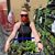 Jackie Trent's profile image