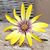 Darlene Tannehill's profile image