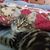 Christine Clark Bates's profile image