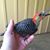 ShirleyAnd James Apperson's profile image