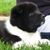 Norma Bolton Dobbs's profile image