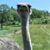Jessica Brown's profile image