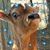 Clayton Lee's profile image