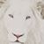 Julie Smith's profile image